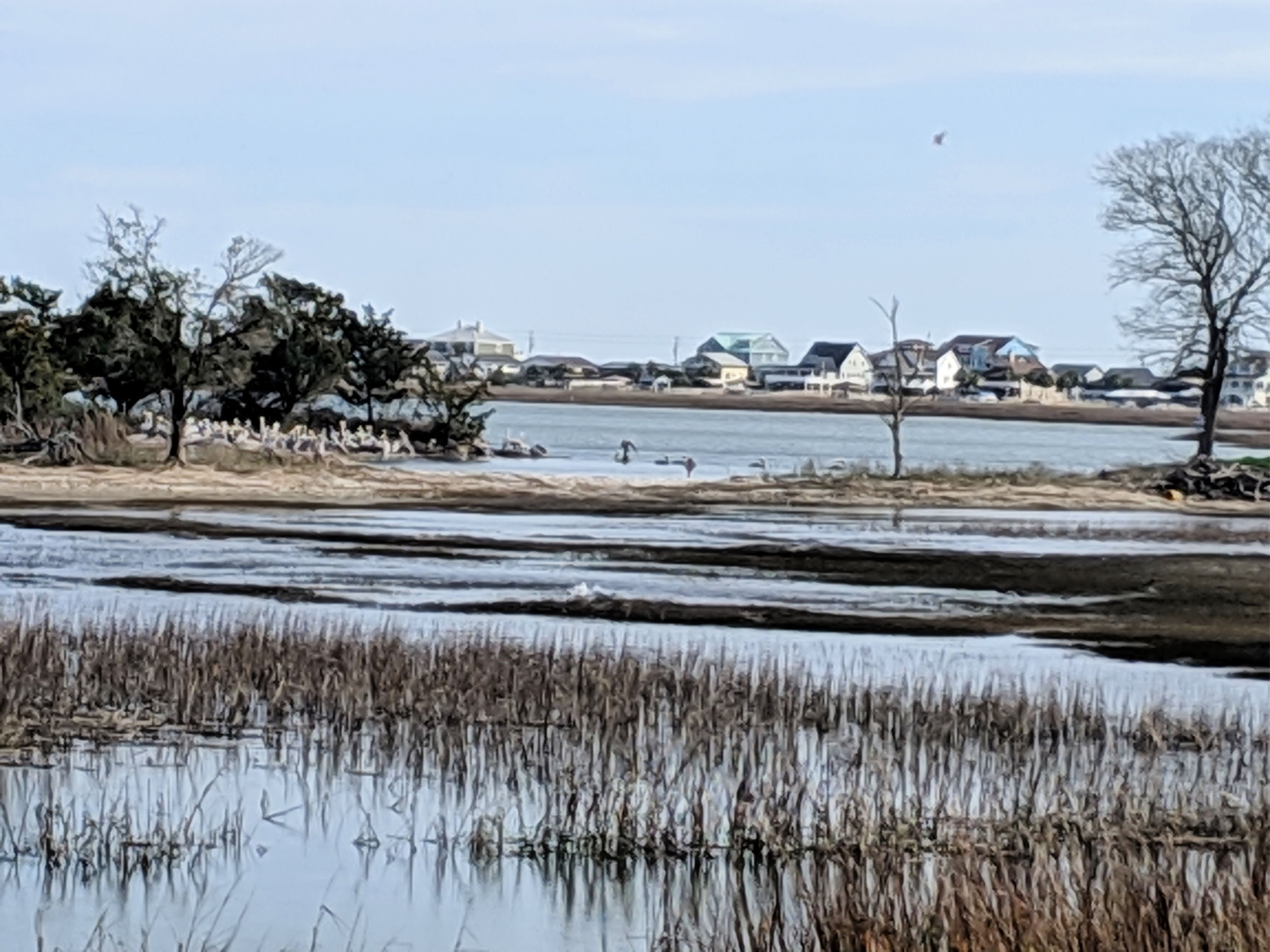 Murrells Inlet - Marshwalk